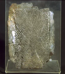 Grater, from the Tomb of Bernardini di Palestrina